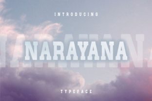 Narayana: A Stylish Serif Font for Modern Design