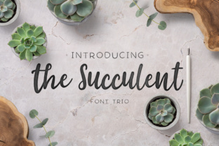 The Succulent Trio: A Strategic Font Choice for Creative and Professional Excellence